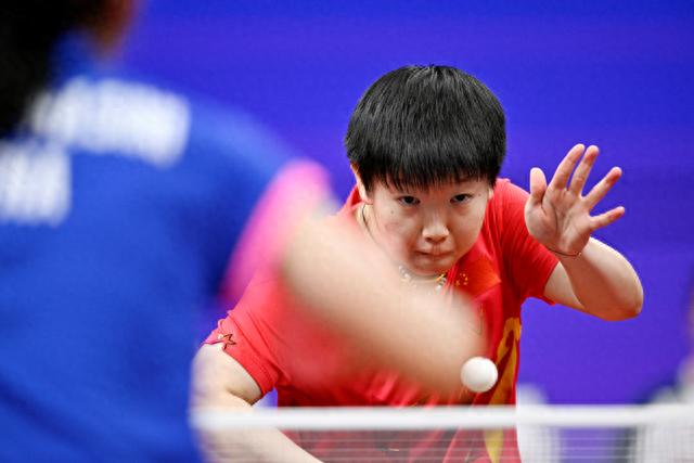 进行了总结 进行了总结