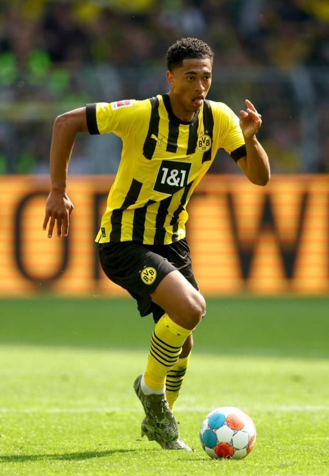 据预算分批 据预算分批